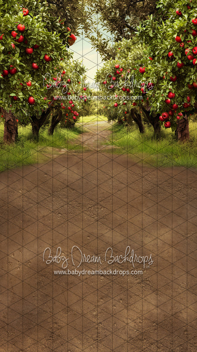 Sweeps Apple Orchard Path (Dirt) (JA)