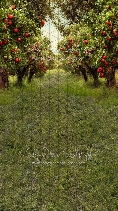 Sweeps Apple Orchard Path (Grass) (JA)