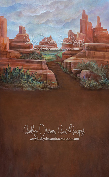 Sweeps Arizona Adventure