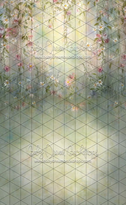 Sweeps Believe in Fairies (LL)