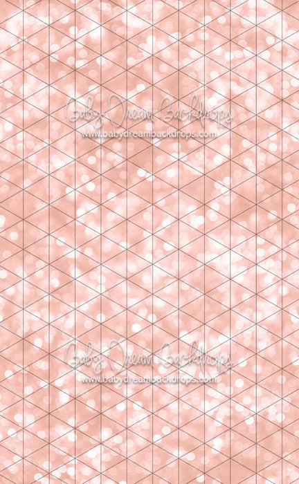 Sweeps Bokeh Wishes Rose