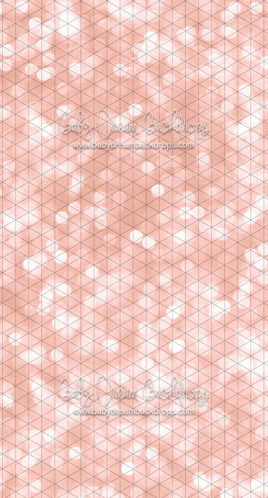 Sweeps Bokeh Wishes Rose