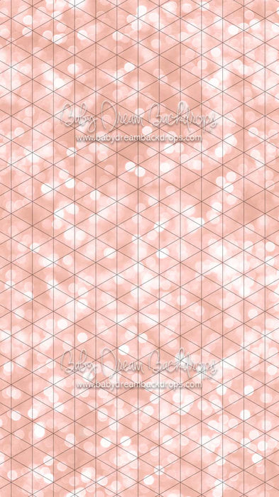 Sweeps Bokeh Wishes Rose