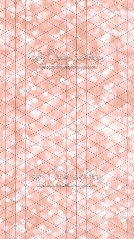 Sweeps Bokeh Wishes Rose