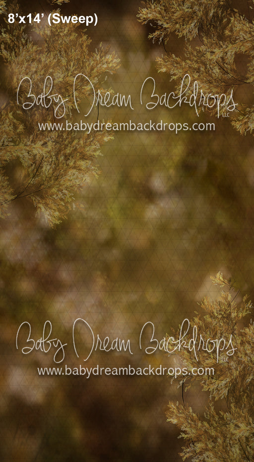 Sweeps Branches Champagne (AZ)