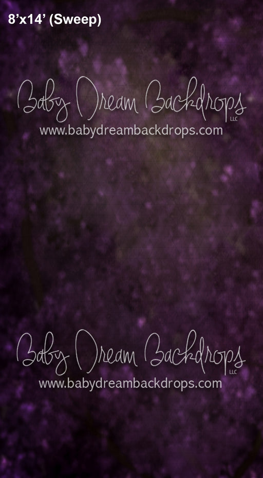 Sweeps Branches Dreamy (AZ)