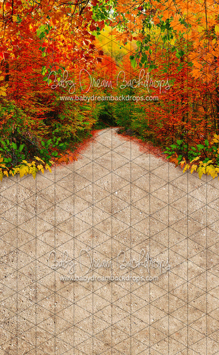 Sweeps Bright Side of Fall (CC)