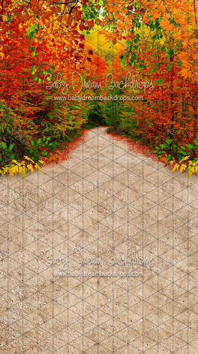 X Drop Sweeps bright side of fall cc