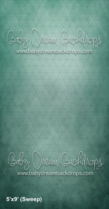 Sweeps CTandRina Fine Art Seafoam (AZ)