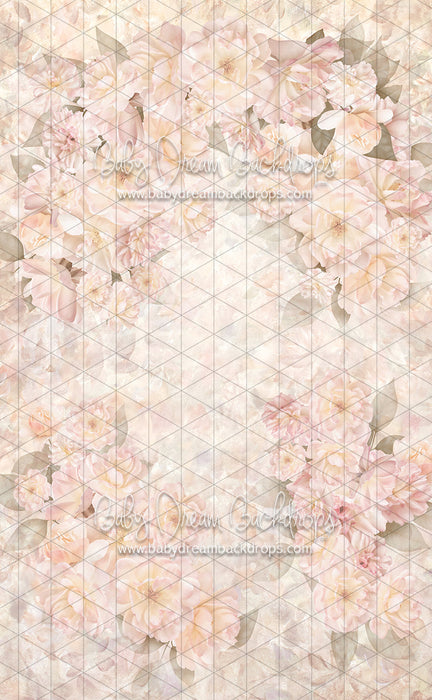 Sweeps Carry Me Away