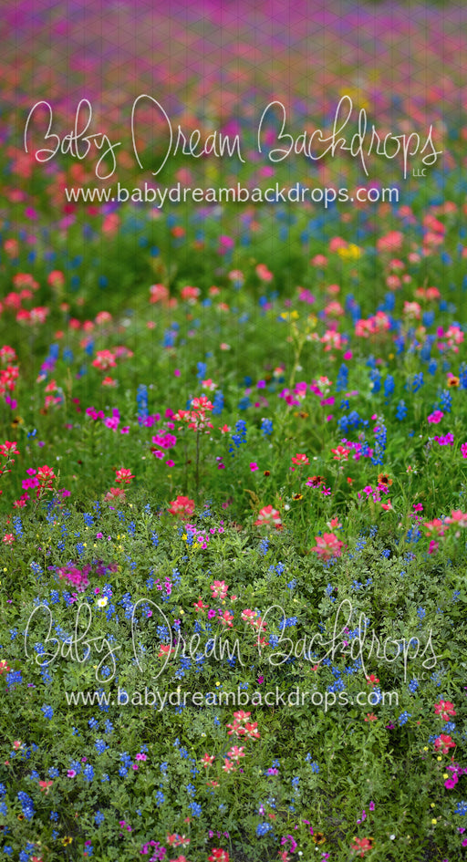 Sweeps Chasing Wildflowers (BD)