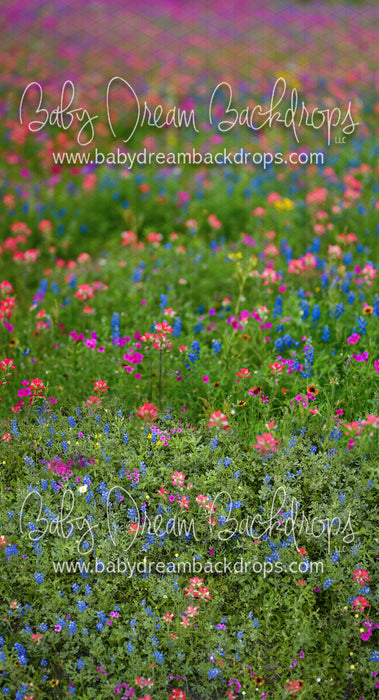 Sweeps Chasing Wildflowers (BD)