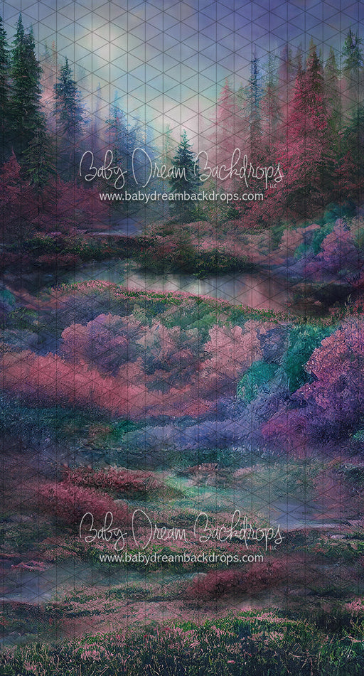 Sweeps Dreamer Forest (LL)