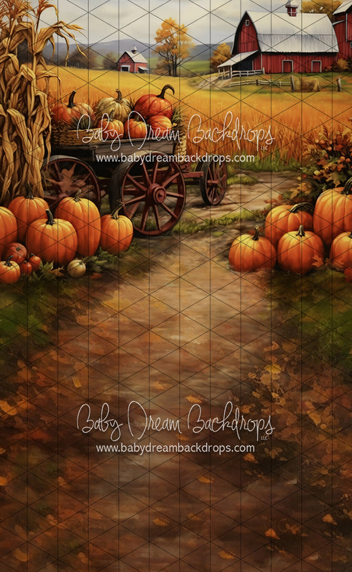 Sweeps Fall Harvest on the Farm (LL)