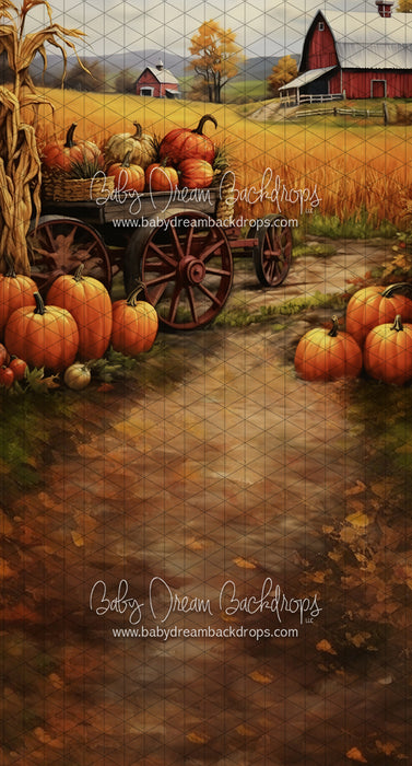 Sweeps Fall Harvest on the Farm (LL)