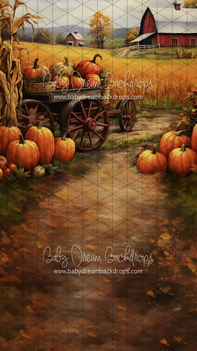 Sweeps Fall Harvest on the Farm (LL)