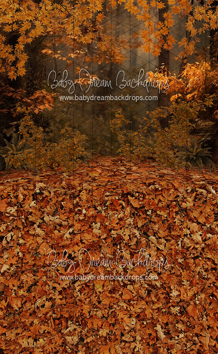 Sweeps Fall Hike (JA)