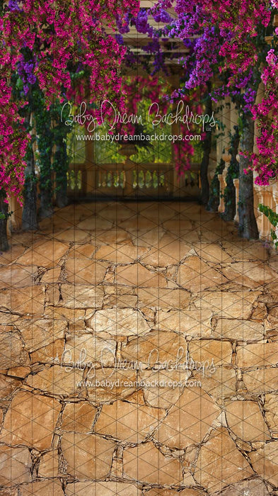 Sweeps Fiesta Magic Path (CC)