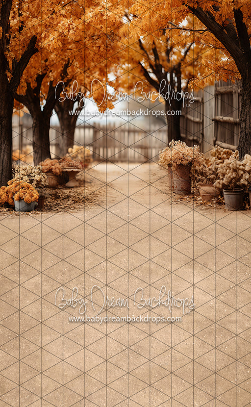 Sweeps Find Me in the Fall (JA)