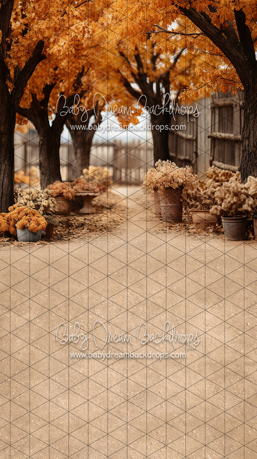 Sweeps Find Me in the Fall (JA)