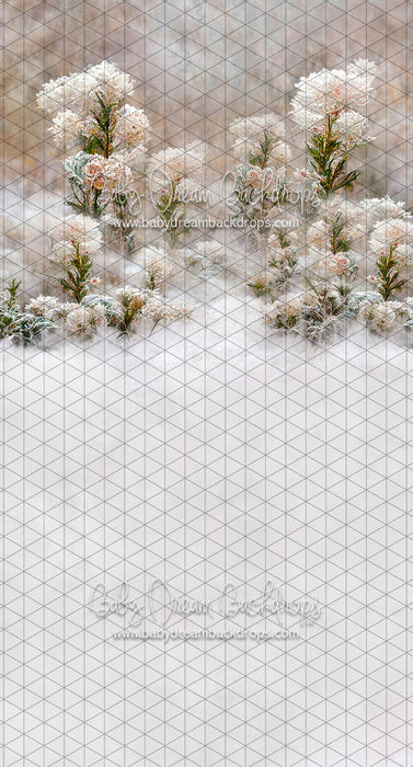 Sweeps Flirty Frost (LL)