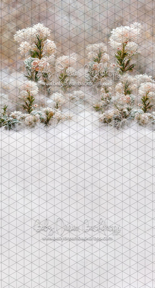 Sweeps Flirty Frost (LL)