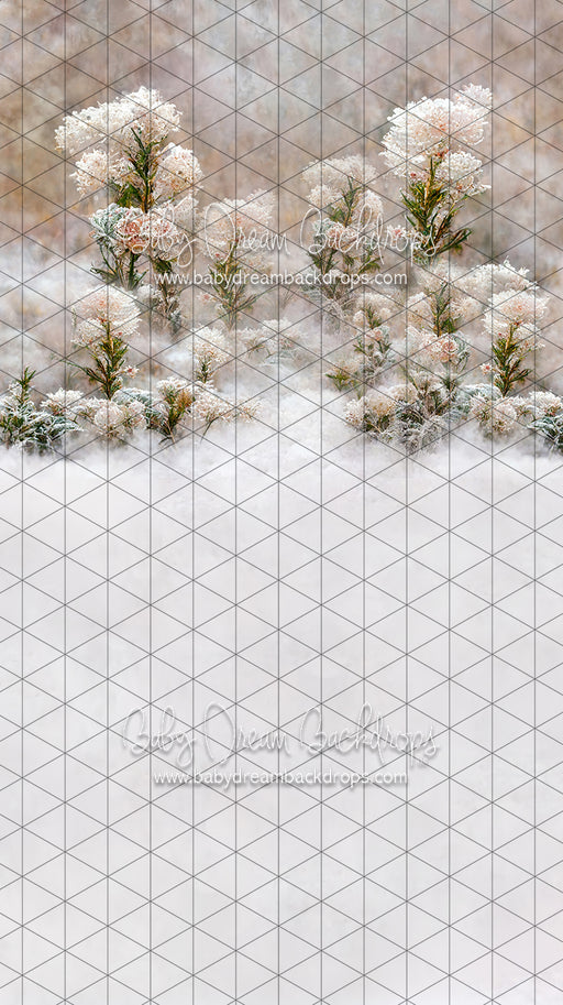 Sweeps Flirty Frost (LL)