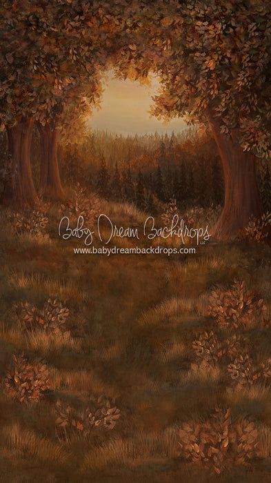 Sweeps Forest Glory Fall 