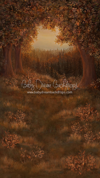 X Drop Sweeps forest glory fall