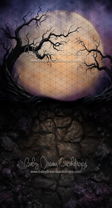 Sweeps Full Moon on the Horizon (JA)