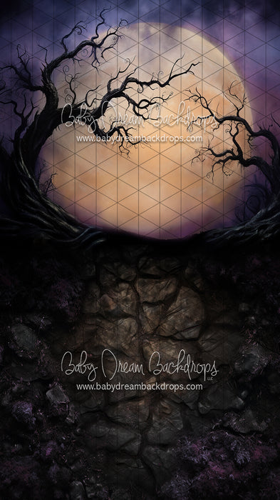 Sweeps Full Moon on the Horizon (JA)