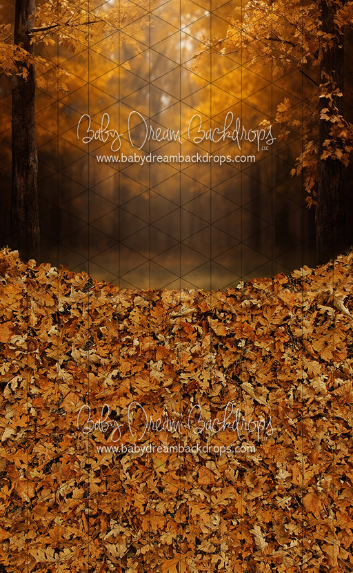 Sweeps Golden Fall Hour (JA)