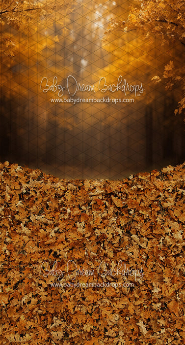 Sweeps Golden Fall Hour (JA)