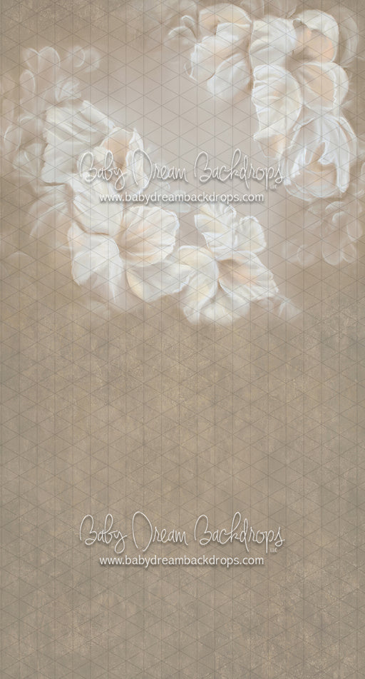 Sweeps Guardian Angel