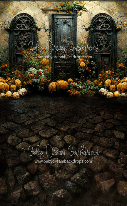 Sweeps Haunted Home (LL)