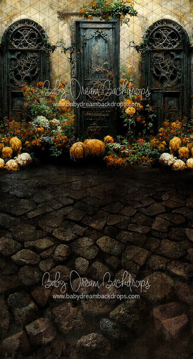 Sweeps Haunted Home (LL)