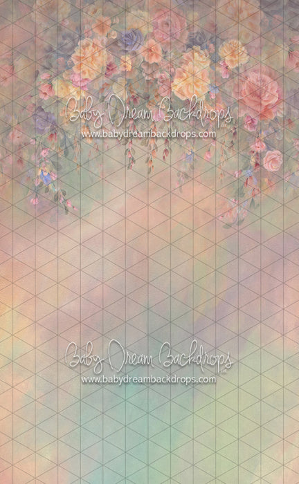 Sweeps Heirloom First Sign of Spring