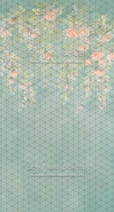 Sweeps Heirloom Floret Tease (SS)