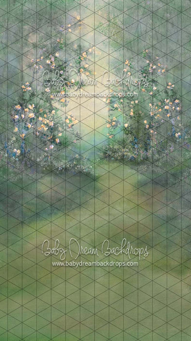 Sweeps Heirloom Serendipity Cheer (SS)