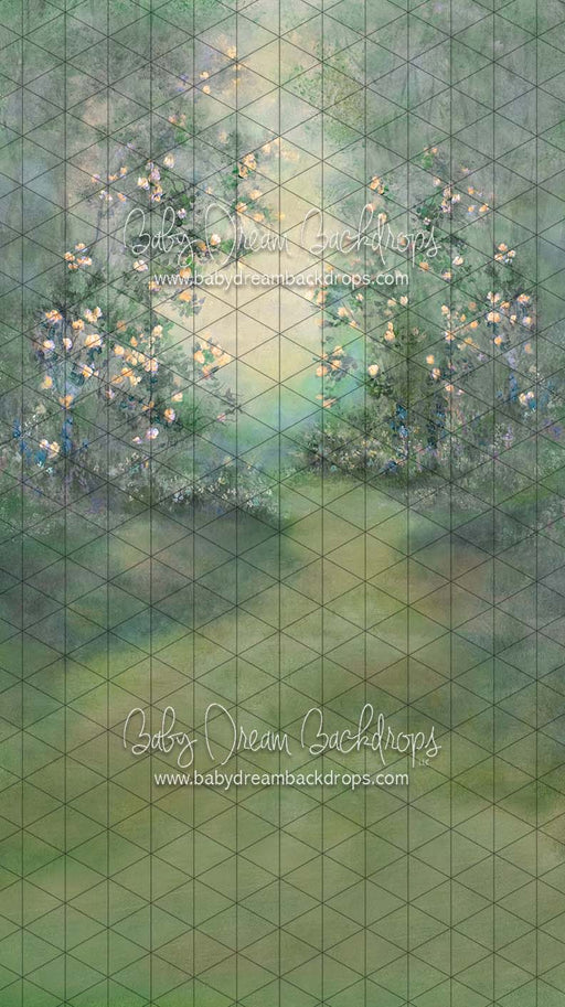 Sweeps Heirloom Serendipity Cheer (SS)