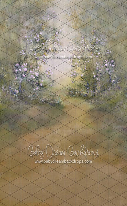 Sweeps Heirloom Serendipity Spring (SS)