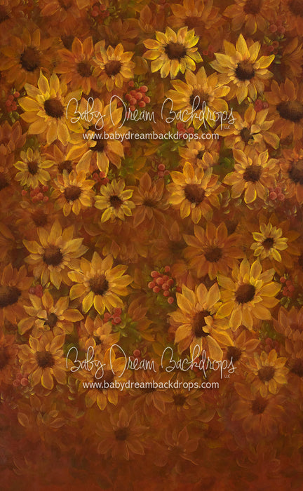 X Drop Sweeps heirloom sunflower sensation