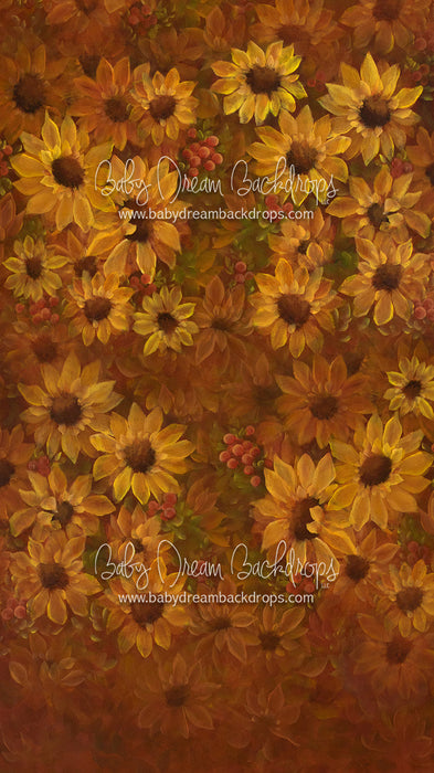 X Drop Sweeps heirloom sunflower sensation