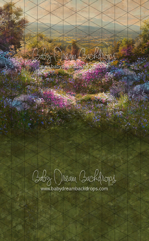 Sweeps Hill Top Spring (LL)