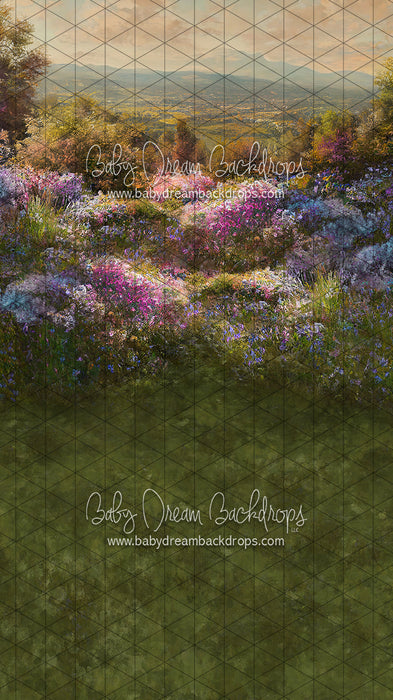 X Drop Sweeps hill top spring ll