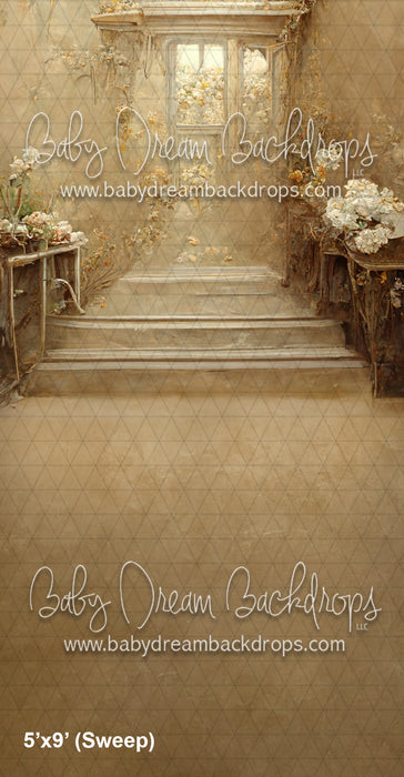 Sweeps Isabella Antique (AZ)