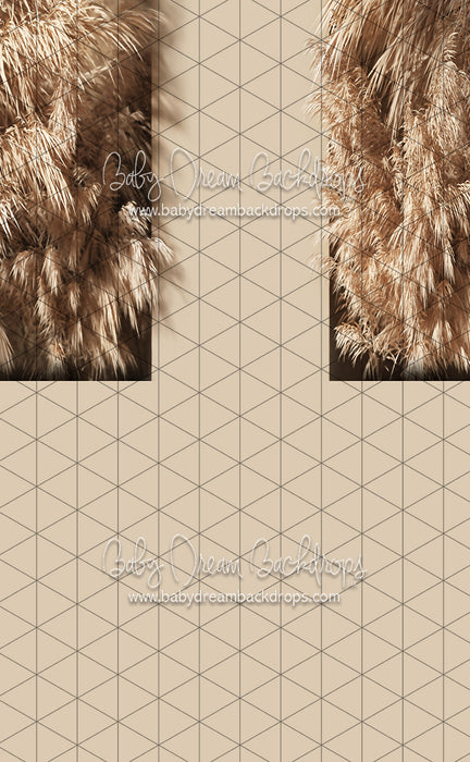 Sweeps Leafy Nook (CC)