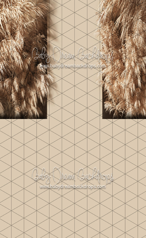 Sweeps Leafy Nook (CC)