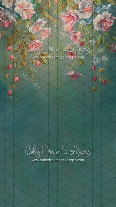 Sweeps Maui Wowy (LL)