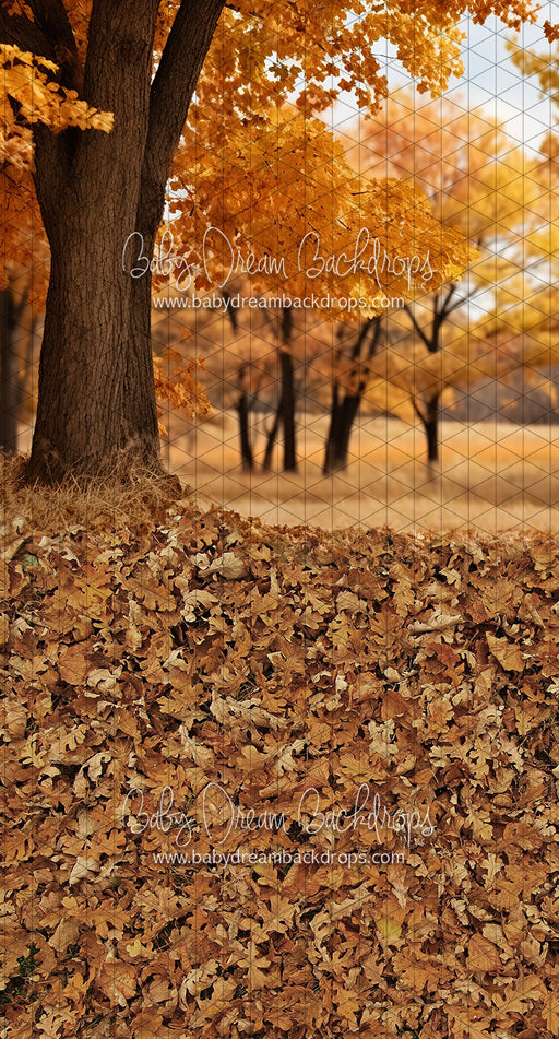 Sweeps Meet Me in the Fall Meadow (JA)